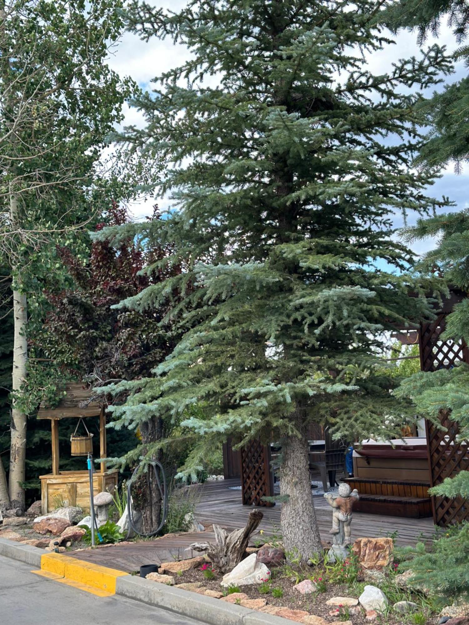 Browns Canyon Inn Salida Buitenkant foto